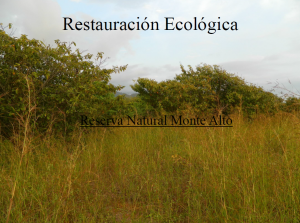 Ökologische Restauration in Monte Alto