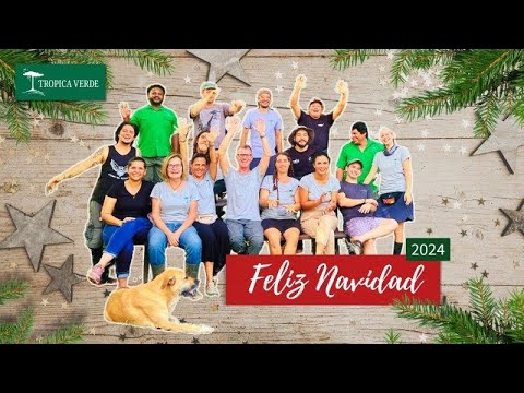 Fröhliche & musikalische Weihnachtsgrüße von Tropica Verde aus Costa Rica 🌟🎄🌴