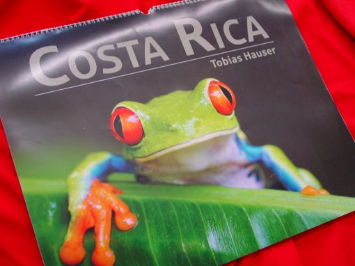 Das Weihnachtsgeschenk für Costa Rica Freunde!