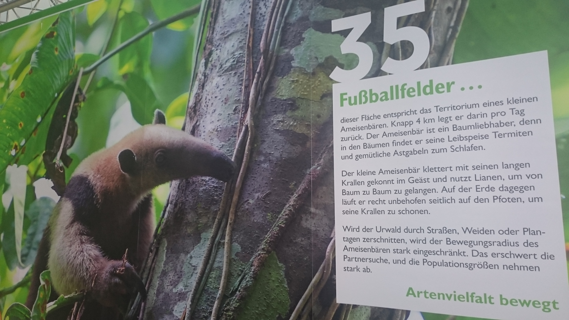 Unser Wochenend-Tipp: Ameisen-Angeln auf unserem Aktionsstand im Palmengarten