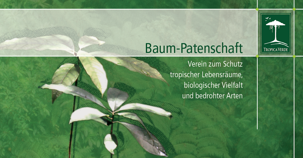 Ihnen fehlt noch ein besonderes Weihnachtsgeschenk?