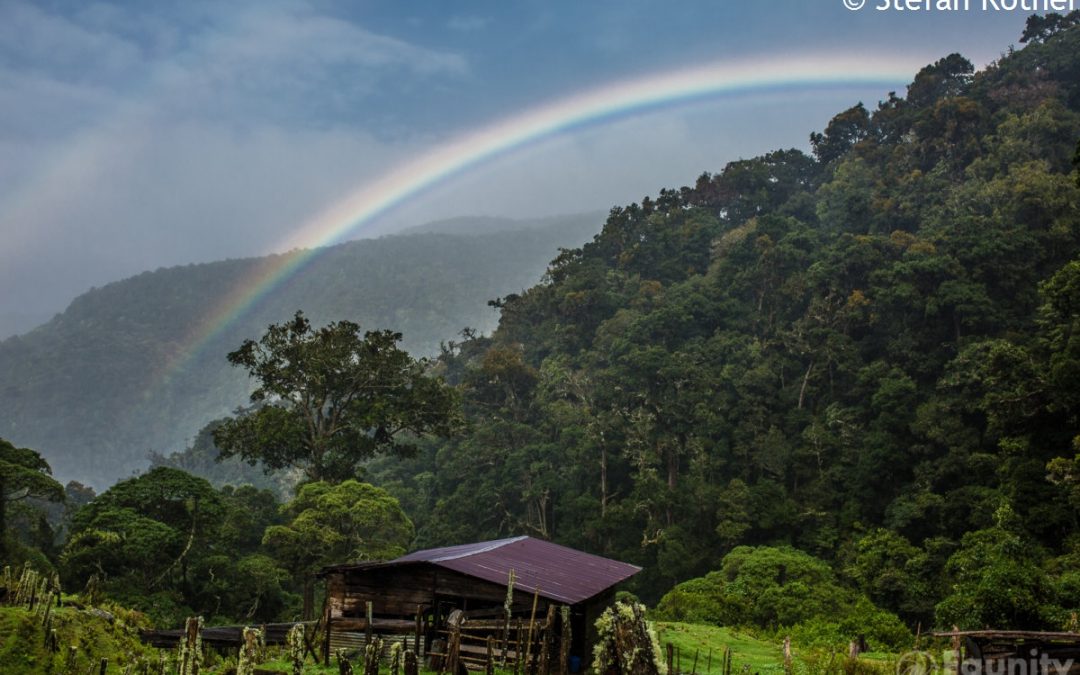 Rundreise zu Regenwaldschutz-Projekten in Costa Rica