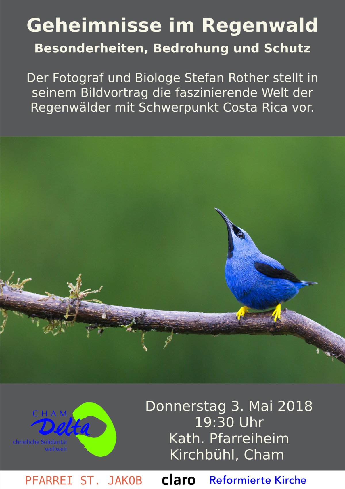 Bildvortrag „Geheimnisse im Regenwald“