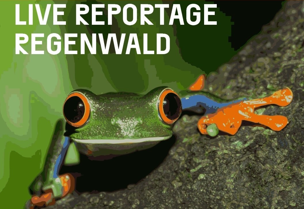 Regenwaldvortrag in der Schweiz