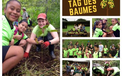 Monte Alto: Arbor Day with school classes from the surrounding area