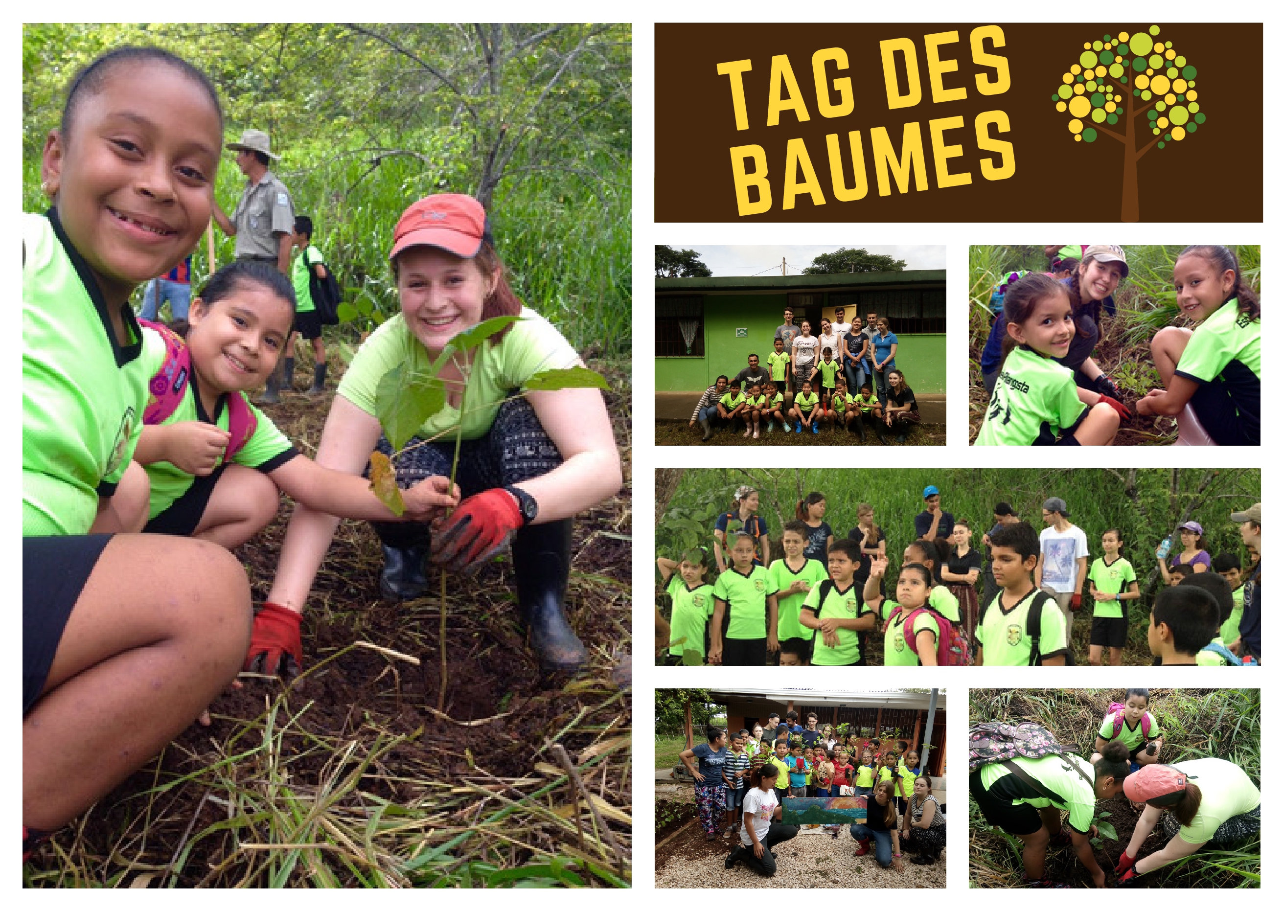 Monte Alto: Tag des Baumes mit Schulklassen aus der Umgebung