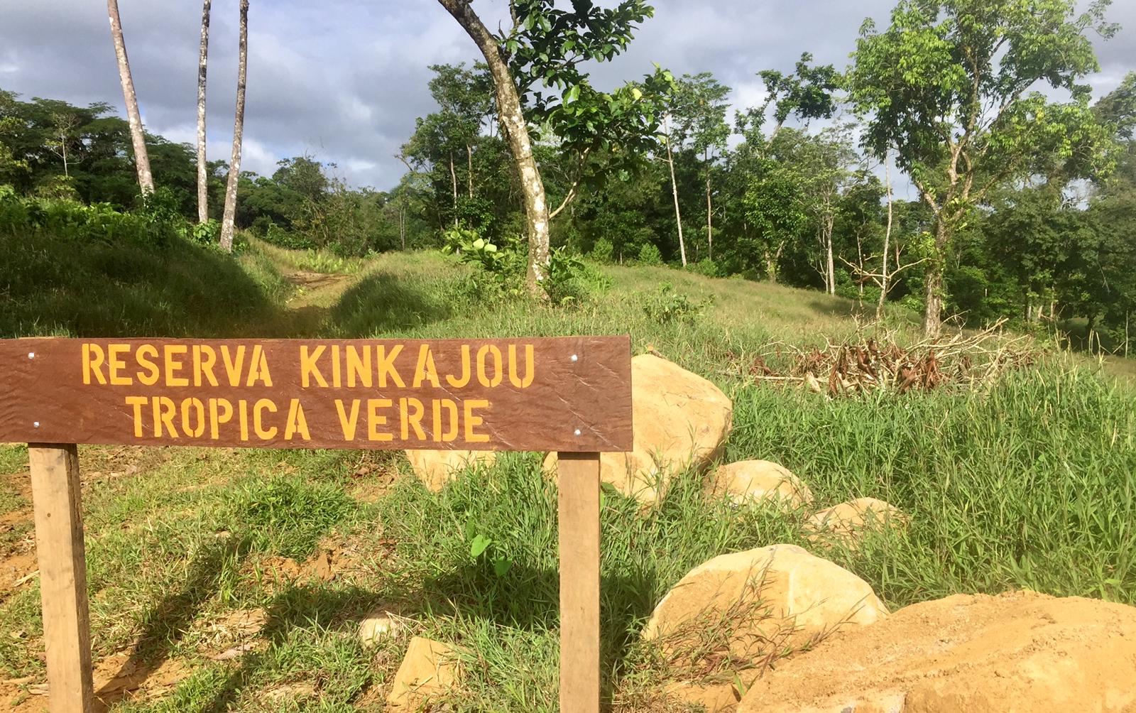Reserva Kinkajou - Tropica Verdes neues Schutzgebiet