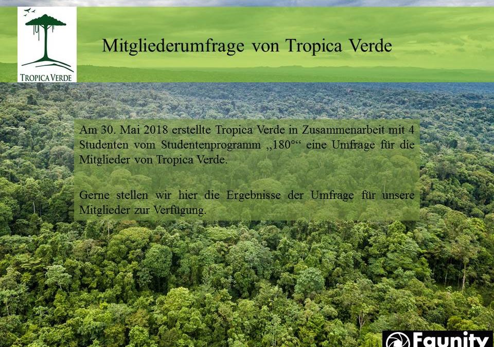 Was Tropica Verde besonders macht: Ergebnisse unserer Mitgliederumfrage