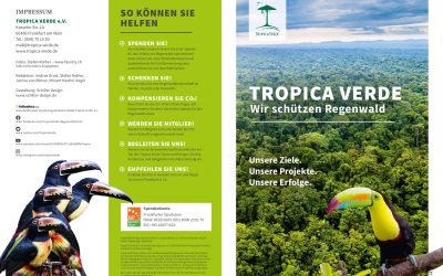 Wir schützen Regenwald – Unsere Projekte
