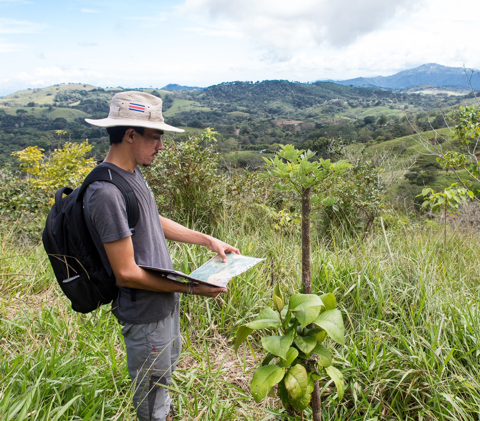 El ingeniero forestal Víctor Esquivel cataloga y evalúa el crecimiento de la reforestación en la Finca Alicia