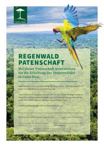 TropicaVerde Patenschaft Regenwald mit Papagei 001