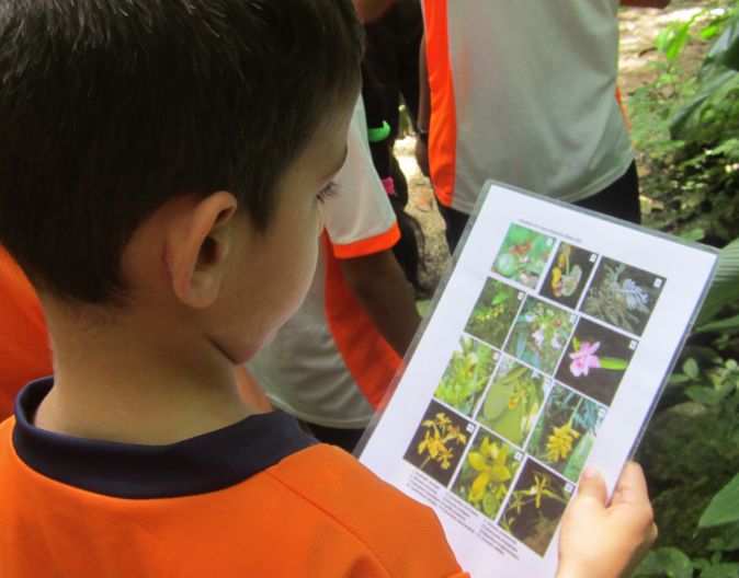 Kinder lernen in den Tropica Verde-Schutzgebieten die Tier- und Pflanzenwelt zu identifizieren und zu verstehen