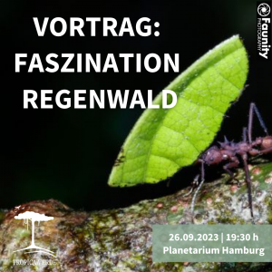 Vortrag: Faszination Regenwald am 26.09.2023