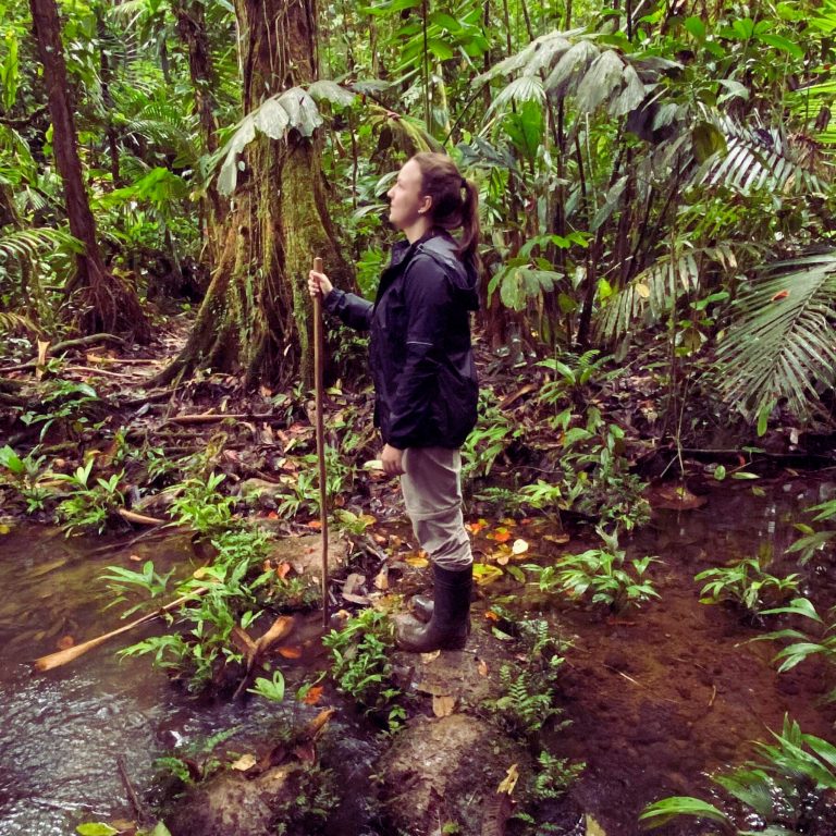 Cornflakes oder Gallo Pinto? Die Kulturen in Deutschland und Costa Rica sind unterschiedlich Baumsamen mussten zunächst aufwändig im Wald gesammelt und zur Keimung gebracht werden, bevor sich in der Baumschule Bäumchen entwickelten