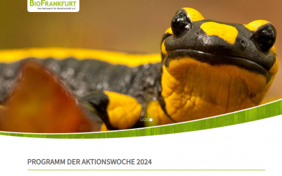 BioFrankfurt-Aktionswoche vom 17.-26.05.2024: Online Veranstaltung von Tropica Verde
