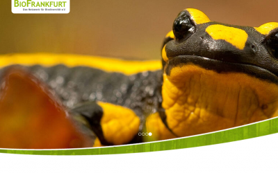 17.-26.05.2024 | BioFrankfurt-Aktionswoche: Online Veranstaltung von Tropica Verde