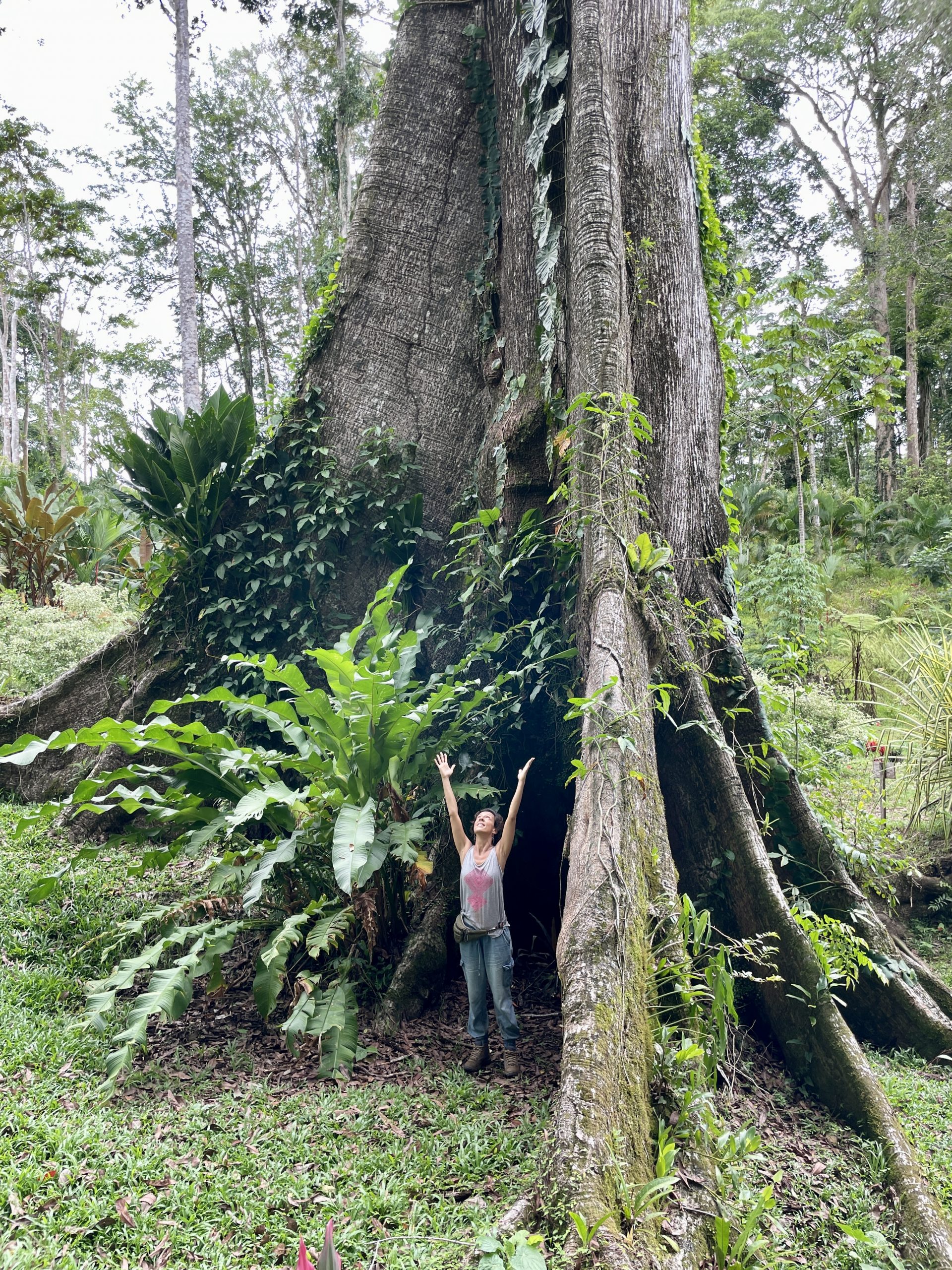 Mónica liebt den Regenwald genauso wie wir
