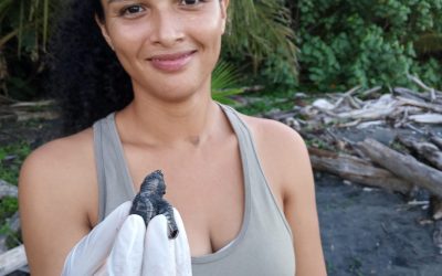 Umweltbildung an der Karibikküste: Interview mit Ariana Oporta McCarthy