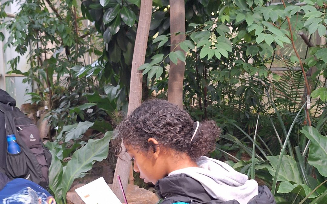 Rally por la selva con Tropica Verde: excursión escolar al Jardín de Palmeras