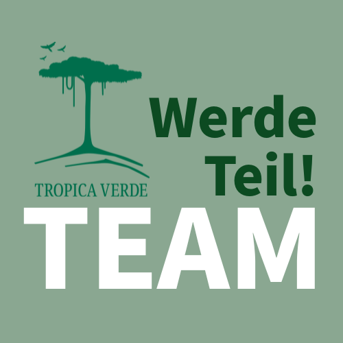 Ehrenamtlicher Kassenwart*in / Schatzmeister*in bei Tropica Verde e.V.