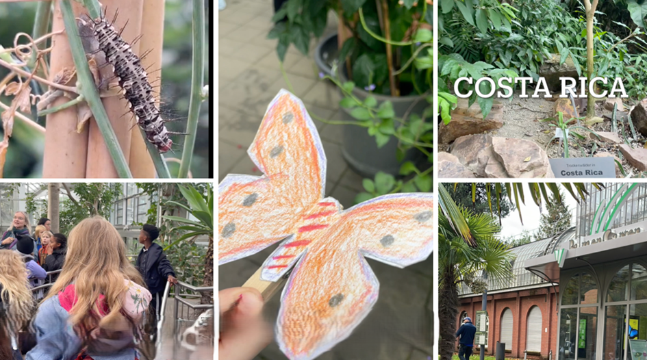 Luftbrücke Costa Rica - Frankfurt