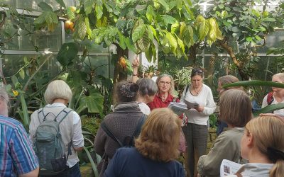 Umweltbildung in Costa Rica und in Frankfurt/Hessen/Deutschland für mehr Gerechtigkeit beim Anbau von exotischem Obst