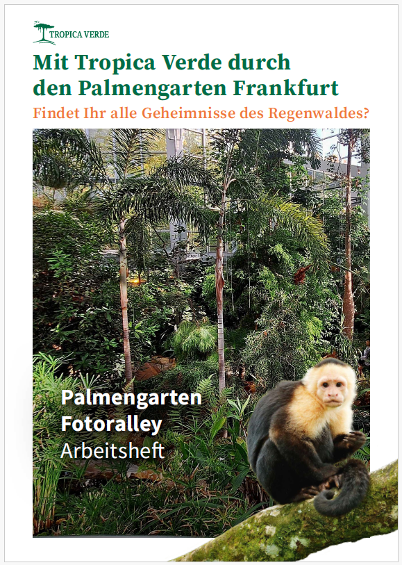 Screenshot 2025 12 20 140553