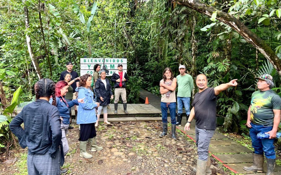 20.01.2026 |  Online-Event: Das passierte in unseren Regenwaldprojekten 2025