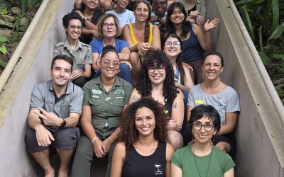 Kommunikation als Motor des Wandels