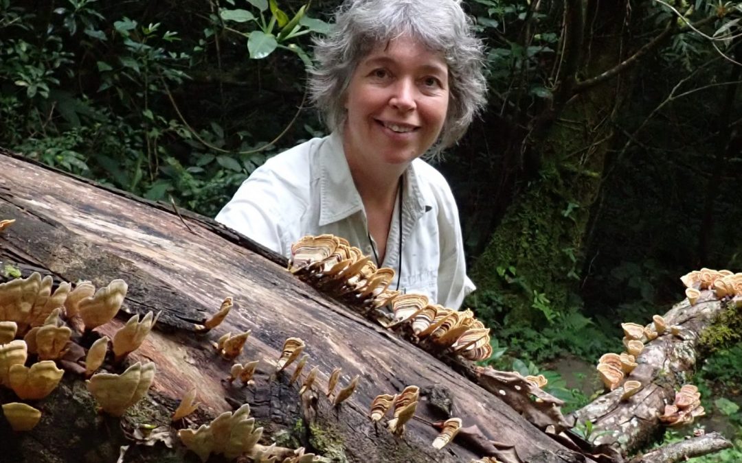 Interview: Prof. Dr. Piepenbring on mushrooms, biodiversity and the rainforest in Costa Rica