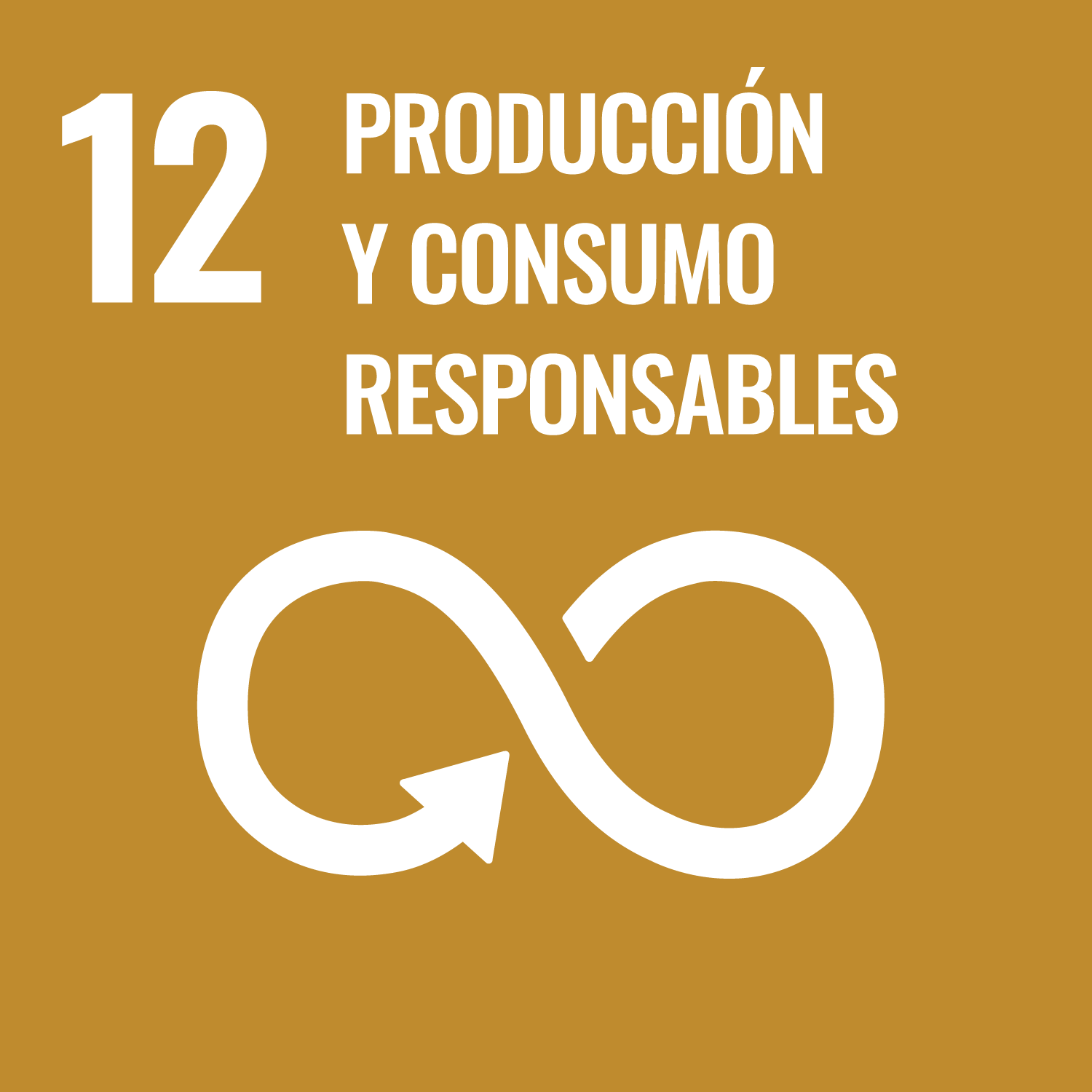 SDG Goal 12 ESP