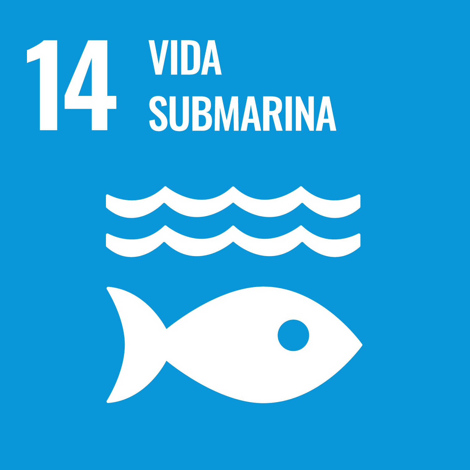 SDG Goal 14 ESP