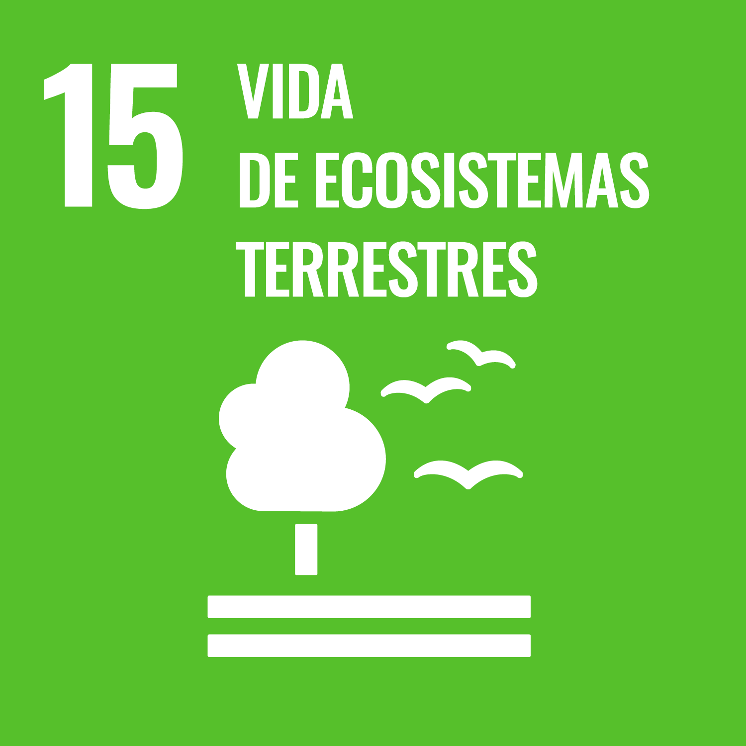 SDG Goal 15 ESP
