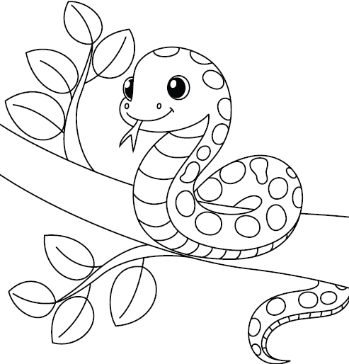 Ausmalbogen Schlange Animals of the Costa Rican Jungle – Coloring Pages