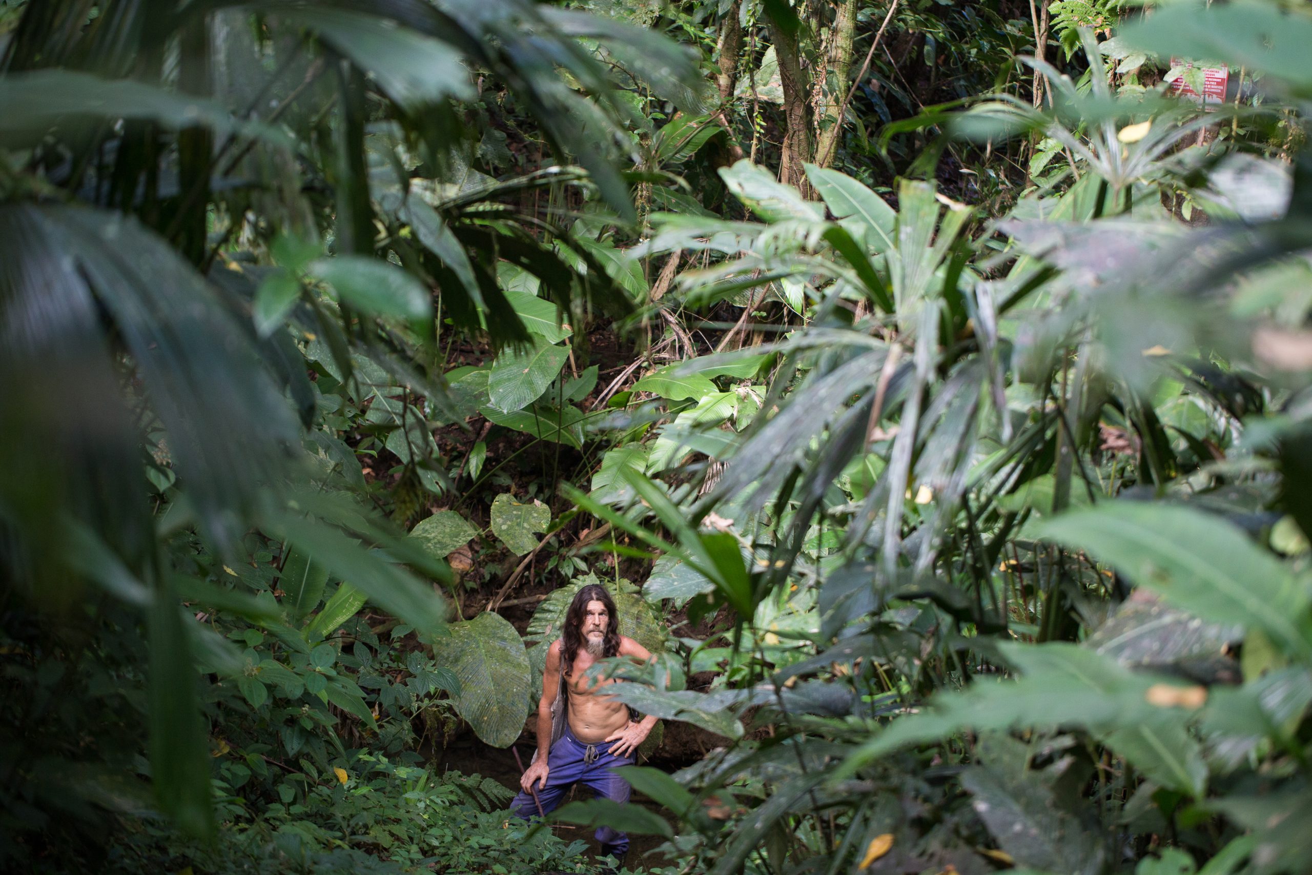Thierry in Finca Curré ©Stefan Rother, Faunity Kaffee Pflanze Spenden