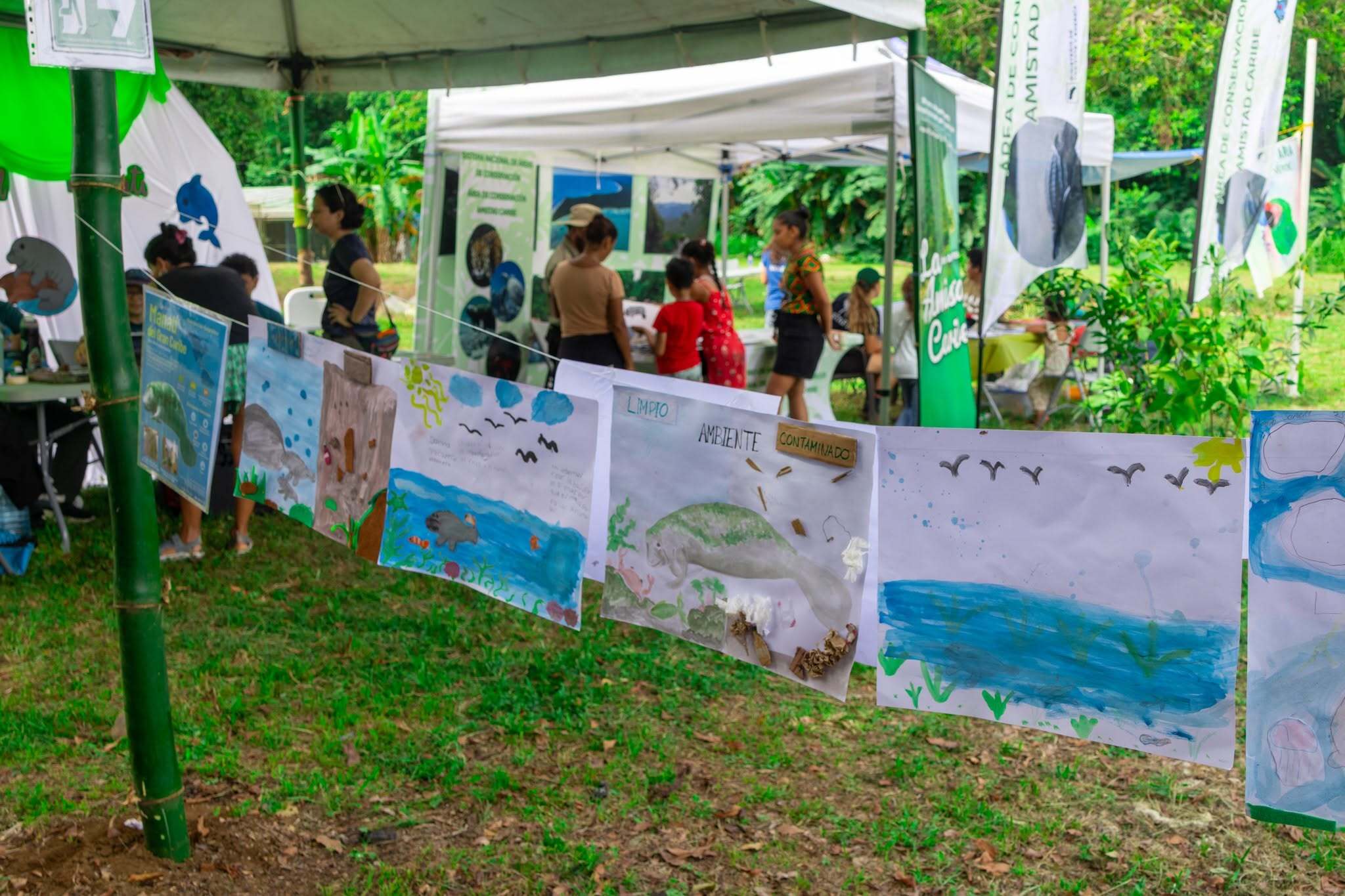 Foto Festival del Manati 2025 Foto Festival del Manati 2025